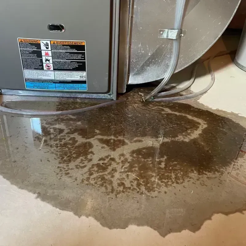 Appliance Leak Cleanup in Carter County, KY